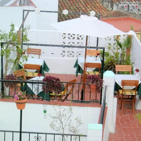 Sevillano *